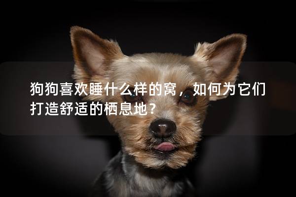 狗狗喜歡睡什么樣的窩，如何為它們打造舒適的棲息地？