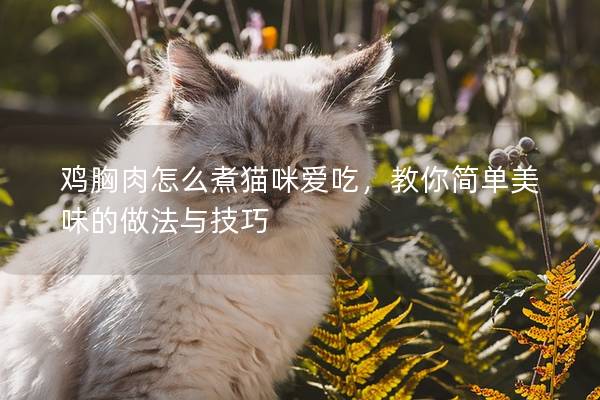 雞胸肉怎么煮貓咪愛吃，教你簡(jiǎn)單美味的做法與技巧