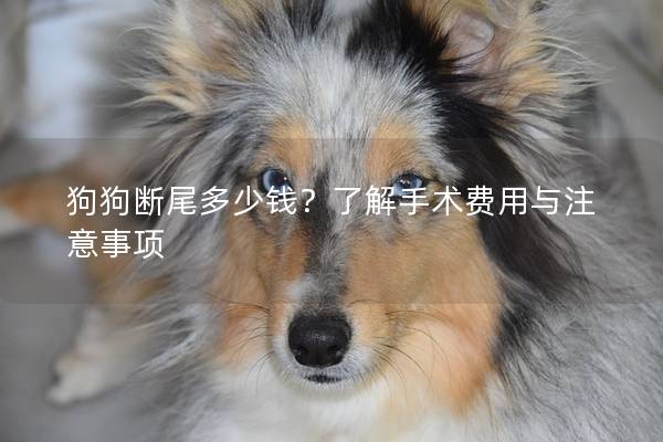 狗狗斷尾多少錢？了解手術費用與注意事項