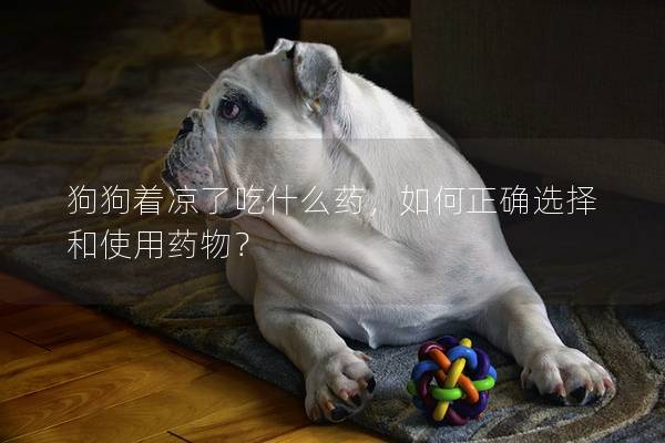 狗狗著涼了吃什么藥，如何正確選擇和使用藥物？