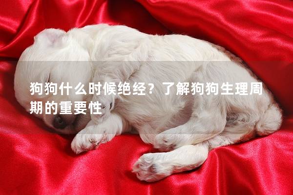 狗狗什么時(shí)候絕經(jīng)？了解狗狗生理周期的重要性