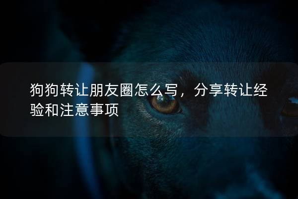 狗狗轉讓朋友圈怎么寫,分享轉讓經驗和注意事項 狗狗轉讓朋友圈怎么寫,分享轉讓經驗和注意事項
