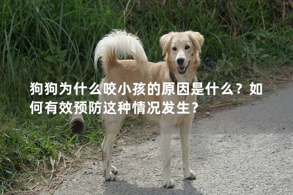 狗狗為什么咬小孩的原因是什么？如何有效預防這種情況發生？