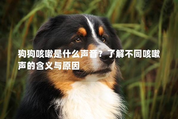 狗狗咳嗽是什么聲音？了解不同咳嗽聲的含義與原因