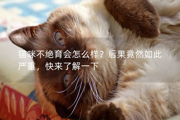 貓咪不絕育會(huì)怎么樣？后果竟然如此嚴(yán)重，快來了解一下