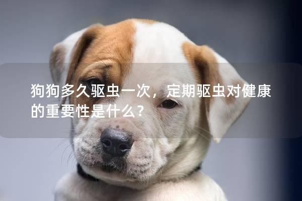 狗狗多久驅(qū)蟲(chóng)一次，定期驅(qū)蟲(chóng)對(duì)健康的重要性是什么？