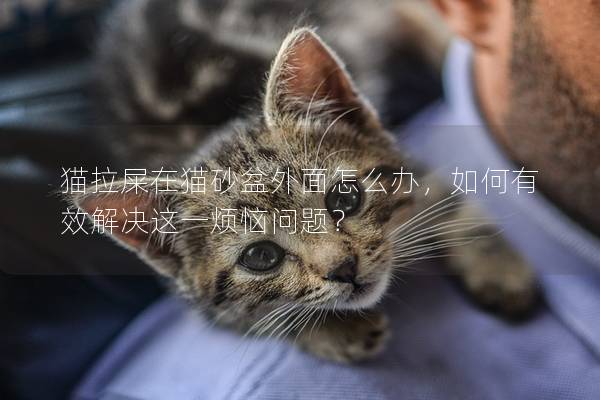貓拉屎在貓砂盆外面怎么辦，如何有效解決這一煩惱問題？