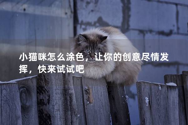 小貓咪怎么涂色，讓你的創(chuàng)意盡情發(fā)揮，快來試試吧