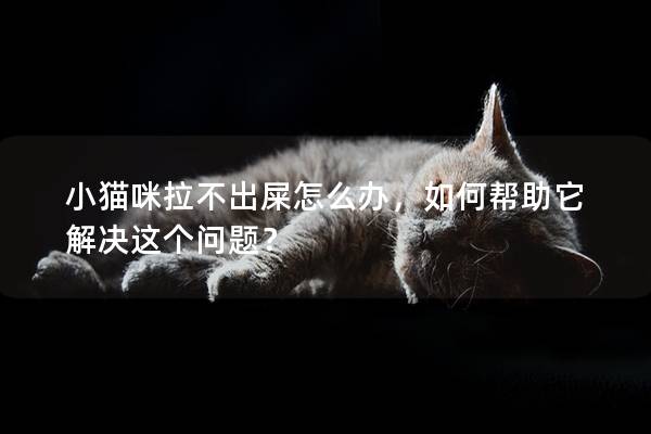 小貓咪拉不出屎怎么辦，如何幫助它解決這個問題？