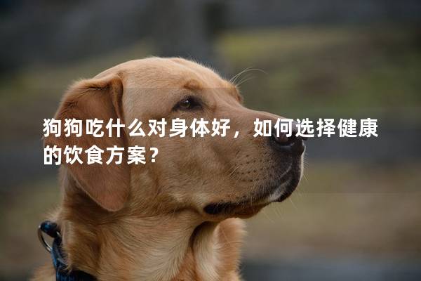 狗狗吃什么對身體好，如何選擇健康的飲食方案？