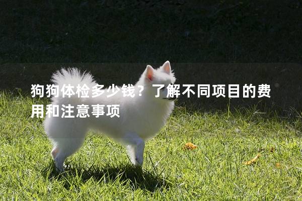 狗狗體檢多少錢？了解不同項目的費用和注意事項