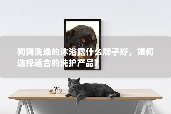 狗狗洗澡的沐浴露什么牌子好，如何選擇適合的洗護產(chǎn)品？