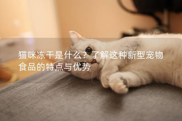 貓咪凍干是什么？了解這種新型寵物食品的特點與優(yōu)勢