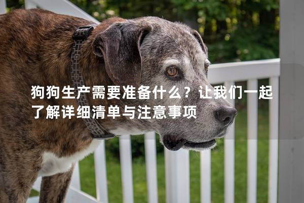 狗狗生產(chǎn)需要準備什么?讓我們一起了解詳細清單與注意事項 狗狗生產(chǎn)需要準備什么?讓我們一起了解詳細清單與注意事項