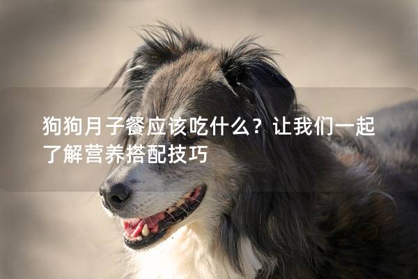 狗狗月子餐應(yīng)該吃什么？讓我們一起了解營養(yǎng)搭配技巧