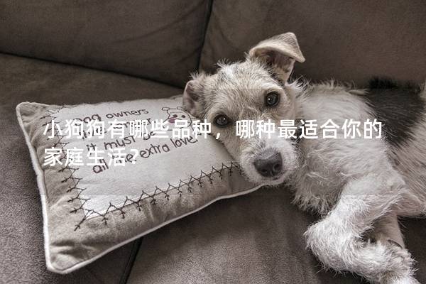 小狗狗有哪些品種，哪種最適合你的家庭生活？