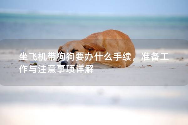 坐飛機帶狗狗要辦什么手續，準備工作與注意事項詳解