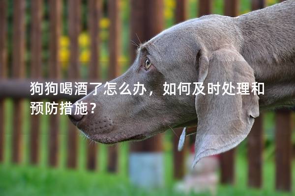 狗狗喝酒了怎么辦，如何及時處理和預防措施？