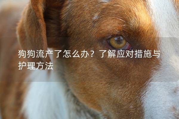 狗狗流產(chǎn)了怎么辦？了解應(yīng)對(duì)措施與護(hù)理方法