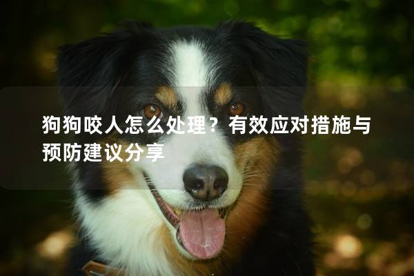 狗狗咬人怎么處理？有效應對措施與預防建議分享