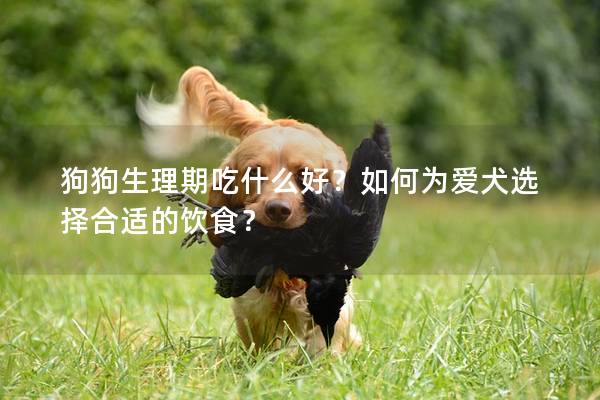 狗狗生理期吃什么好？如何為愛犬選擇合適的飲食？