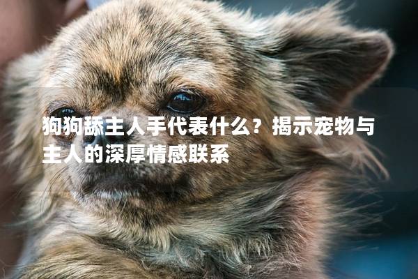 狗狗舔主人手代表什么？揭示寵物與主人的深厚情感聯系