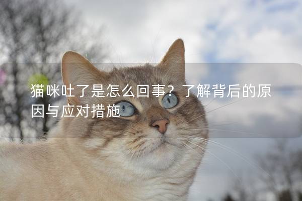 貓咪吐了是怎么回事？了解背后的原因與應對措施