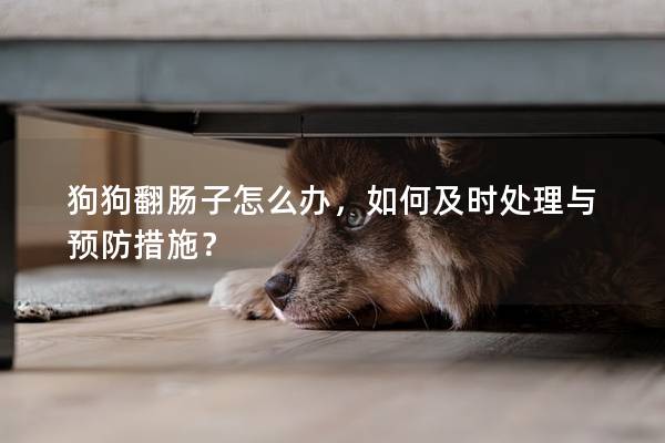 狗狗翻腸子怎么辦，如何及時處理與預防措施？