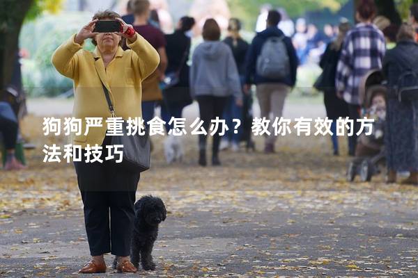 狗狗嚴重挑食怎么辦？教你有效的方法和技巧
