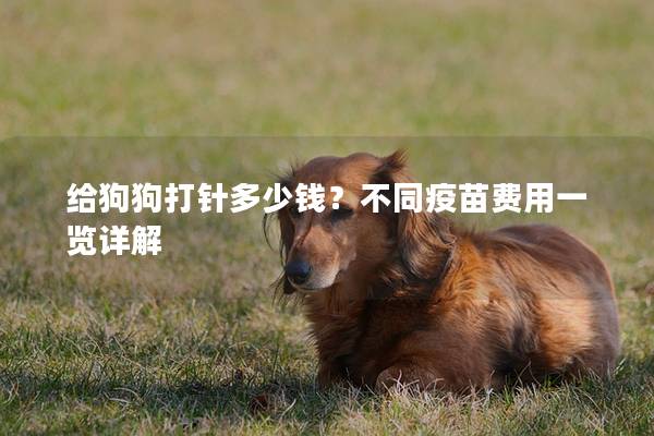 給狗狗打針多少錢？不同疫苗費用一覽詳解