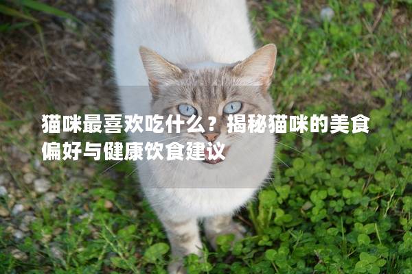 貓咪最喜歡吃什么？揭秘貓咪的美食偏好與健康飲食建議