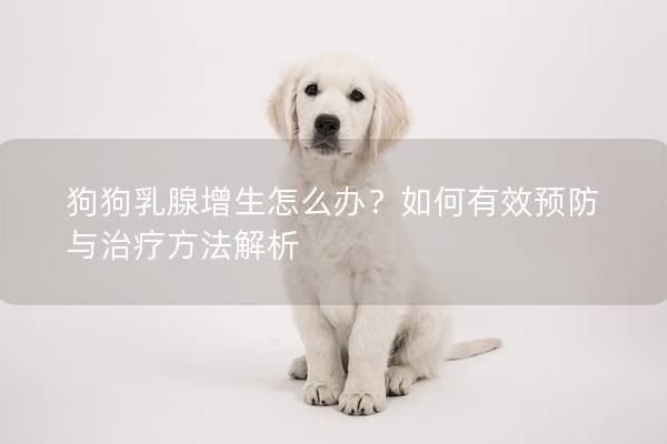 狗狗乳腺增生怎么辦？如何有效預防與治療方法解析