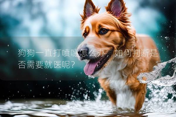 狗狗一直打噴嚏怎么辦，如何判斷是否需要就醫呢？