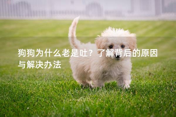 狗狗為什么老是吐?了解背后的原因與解決辦法 狗狗為什么老是吐?了解背后的原因與解決辦法