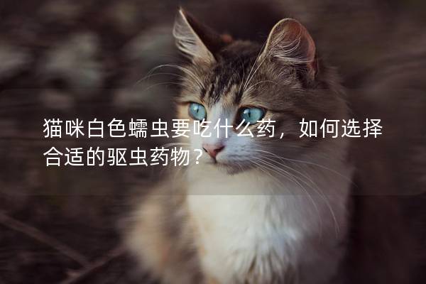 貓咪白色蠕蟲要吃什么藥，如何選擇合適的驅蟲藥物？
