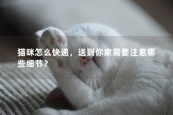 貓咪怎么快遞，送到你家需要注意哪些細節？
