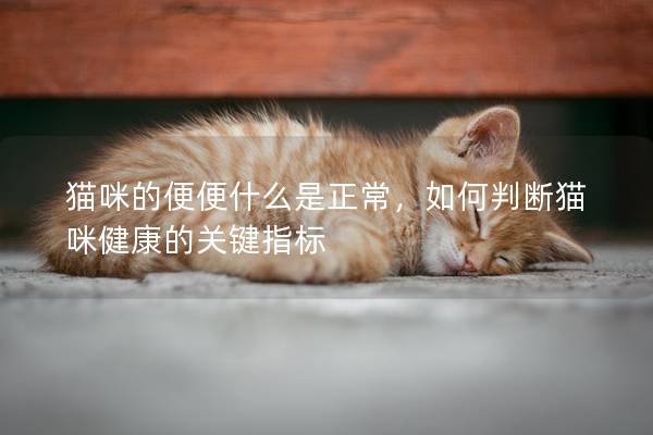 貓咪的便便什么是正常，如何判斷貓咪健康的關(guān)鍵指標(biāo)