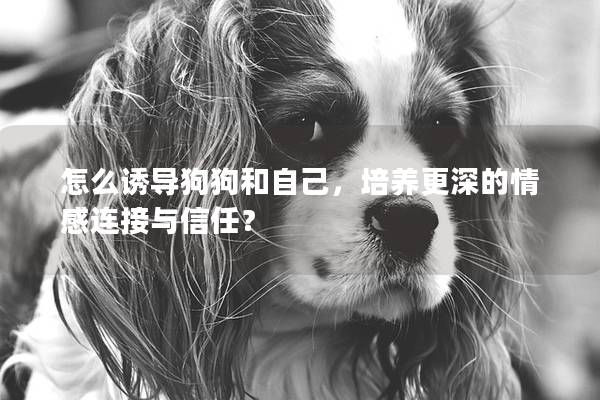 怎么誘導(dǎo)狗狗和自己，培養(yǎng)更深的情感連接與信任？