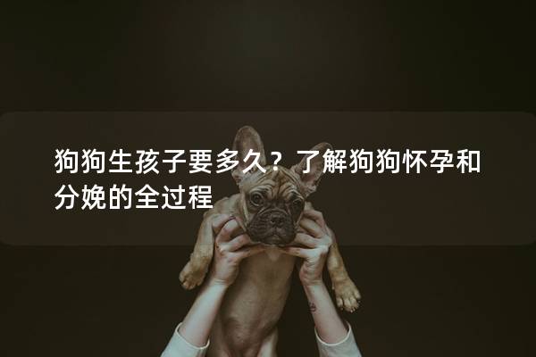 狗狗生孩子要多久?了解狗狗懷孕和分娩的全過程 狗狗生孩子要多久?了解狗狗懷孕和分娩的全過程