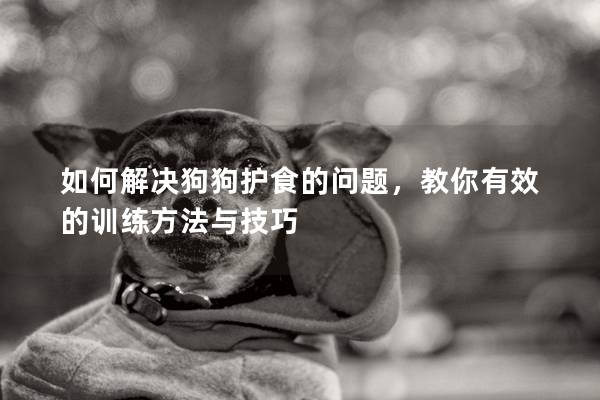 如何解決狗狗護(hù)食的問(wèn)題，教你有效的訓(xùn)練方法與技巧