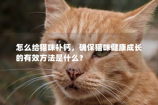怎么給貓咪補鈣，確保貓咪健康成長的有效方法是什么？