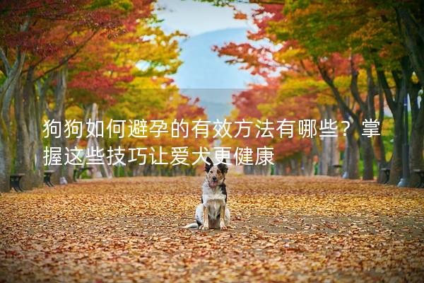 狗狗如何避孕的有效方法有哪些?掌握這些技巧讓愛犬更健康 狗狗如何避孕的有效方法有哪些?掌握這些技巧讓愛犬更健康