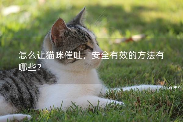 怎么讓貓咪催吐，安全有效的方法有哪些？