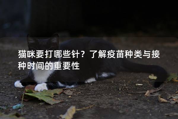 貓咪要打哪些針？了解疫苗種類與接種時間的重要性