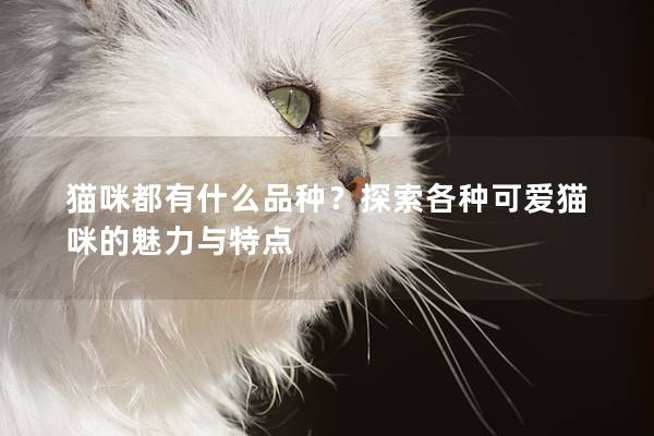 貓咪都有什么品種？探索各種可愛貓咪的魅力與特點