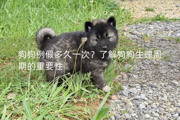 狗狗例假多久一次？了解狗狗生理周期的重要性