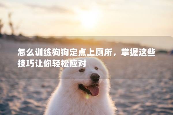 怎么訓(xùn)練狗狗定點上廁所，掌握這些技巧讓你輕松應(yīng)對
