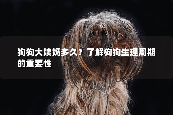 狗狗大姨媽多久？了解狗狗生理周期的重要性