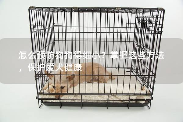 怎么預防狗狗得細小？掌握這些方法，保護愛犬健康