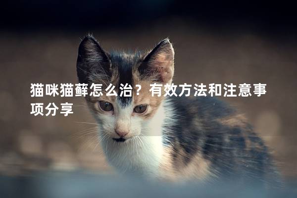 貓咪貓?zhí)\怎么治？有效方法和注意事項(xiàng)分享
